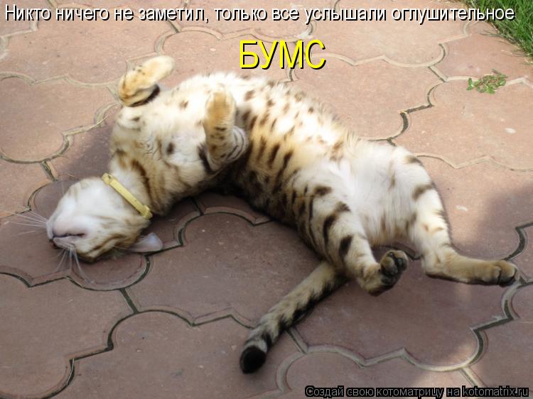 Никто ничего не заметил, только все услышали оглушительное БУМС... Котоматрица: Никто ничего не заметил, только все услышали оглушительное БУМС