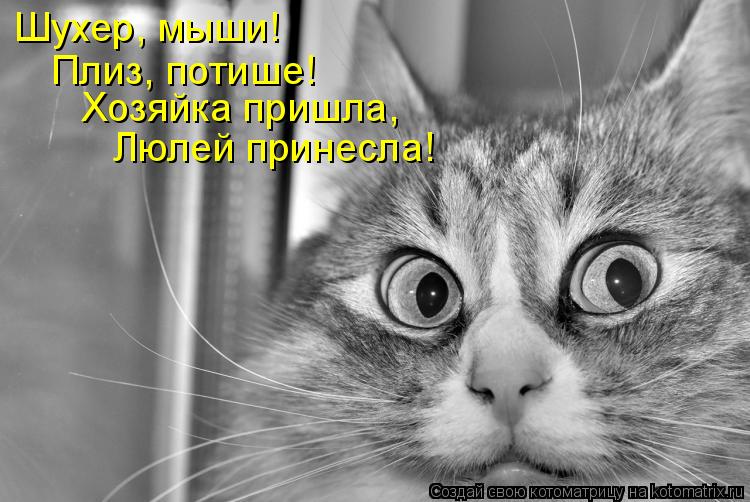 Шухер, мыши! Плиз, потише! Хозяйка пришла, Люлей принесла!... Котоматрица: Шухер, мыши! Плиз, потише! Хозяйка пришла, Люлей принесла!