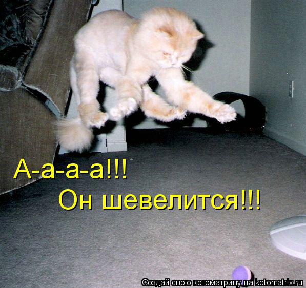 А-а-а-а!!! Он шевелится!!!... Котоматрица: А-а-а-а!!! Он шевелится!!!