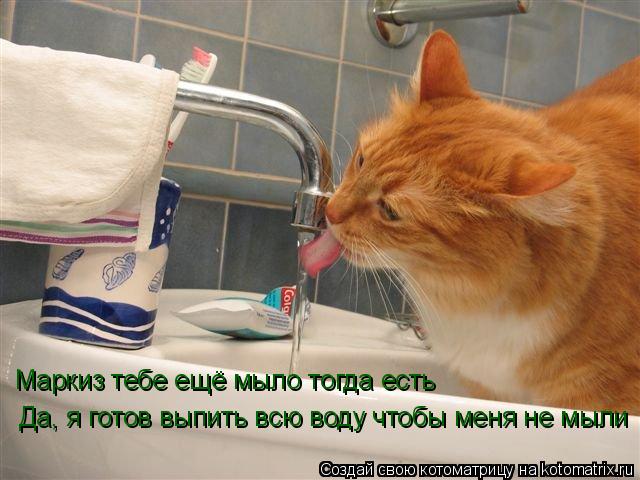 Да, я готов выпить всю воду чтобы меня не мыли Маркиз тебе ещё мыло тогда есть... Котоматрица: Да, я готов выпить всю воду чтобы меня не мыли Маркиз тебе ещё мыло тогда есть