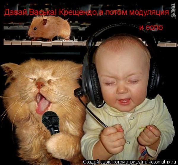 Давай,Васька! Крещендо,а потом модуляция и соло... Котоматрица: Давай,Васька! Крещендо,а потом модуляция и соло