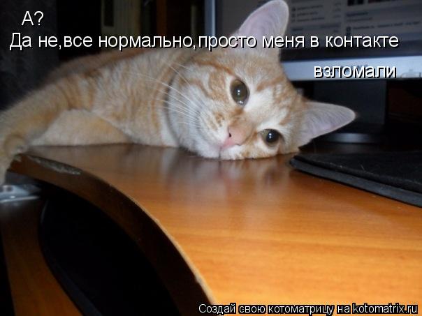 А? Да не,все нормально,просто меня в контакте взломали... Котоматрица: А? Да не,все нормально,просто меня в контакте взломали