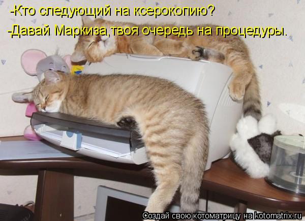 -Кто следующий на ксерокопию? -Давай Маркиза,твоя очередь на процедуры.... Котоматрица: -Кто следующий на ксерокопию? -Давай Маркиза,твоя очередь на процедуры.