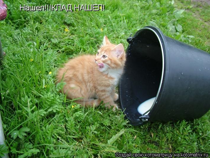 Нашел!!!КЛАД НАШЕЛ!... Котоматрица: Нашел!!!КЛАД НАШЕЛ!