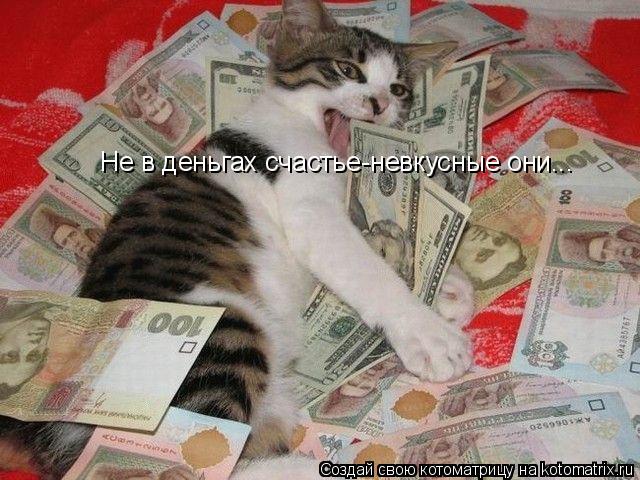 Не в деньгах счастье-невкусные они...... Котоматрица: Не в деньгах счастье-невкусные они...