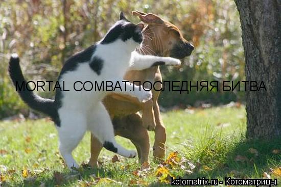 MORTAL COMBAT:ПОСЛЕДНЯЯ БИТВА... Котоматрица: MORTAL COMBAT:ПОСЛЕДНЯЯ БИТВА