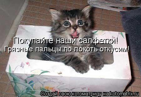 Покупайте наши салфетки! Покупайте наши салфетки! Грязные пальцы по локоть откусим!... Котоматрица: Покупайте наши салфетки! Покупайте наши салфетки! Грязные пальцы по локоть откусим!