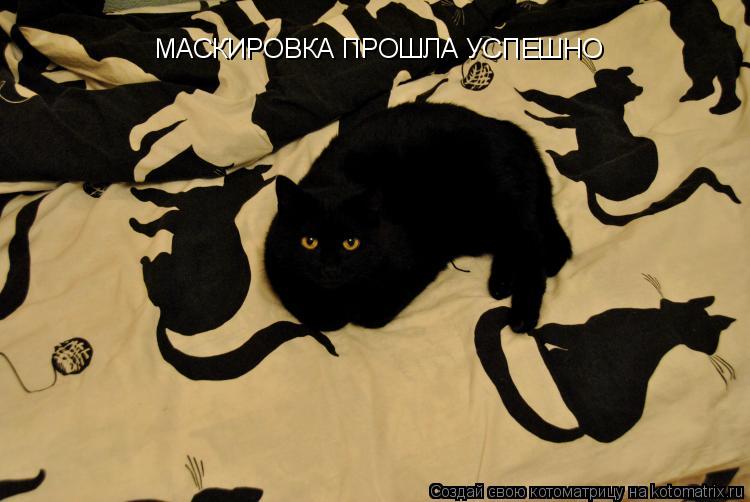 МАСКИРОВКА ПРОШЛА УСПЕШНО... Котоматрица: МАСКИРОВКА ПРОШЛА УСПЕШНО