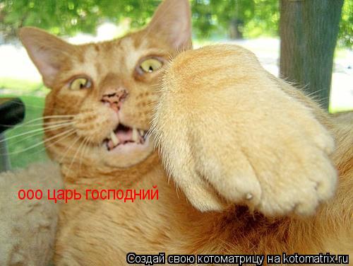 ооо царь господний... Котоматрица: ооо царь господний