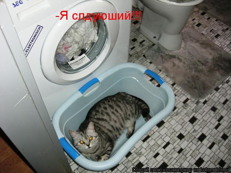 -Я слдуюший!!!... Котоматрица: -Я слдуюший!!!