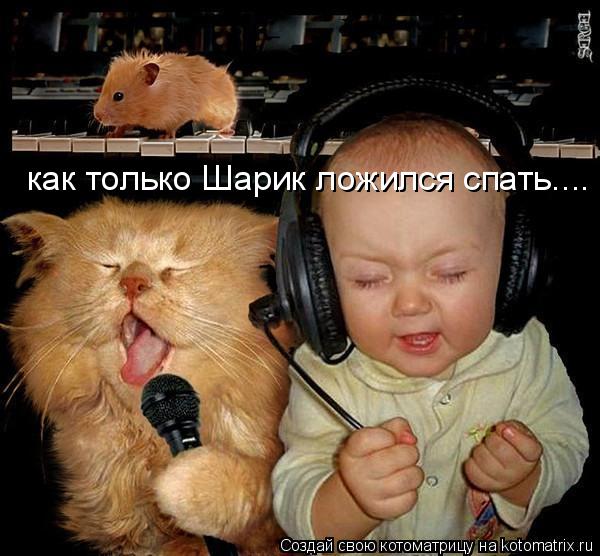 как только Шарик ложился спать....... Котоматрица: как только Шарик ложился спать....