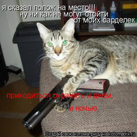 я сказал полож на место!!! ну ни как не могут отойти от моих сарделек приходиться охранять и днём, ... Котоматрица: я сказал полож на место!!! ну ни как не могут отойти от моих сарделек приходиться охранять и днём, и ночью