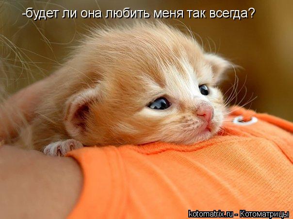-будет ли она любить меня так всегда?... Котоматрица: -будет ли она любить меня так всегда?