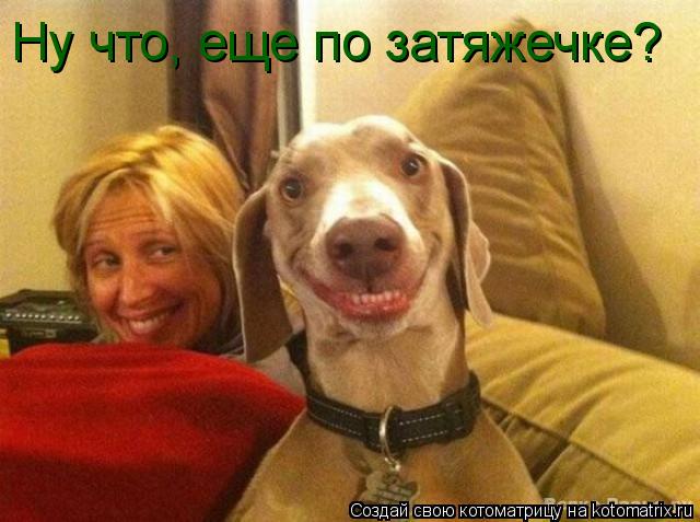 Ну что, еще по затяжечке?... Котоматрица: Ну что, еще по затяжечке?