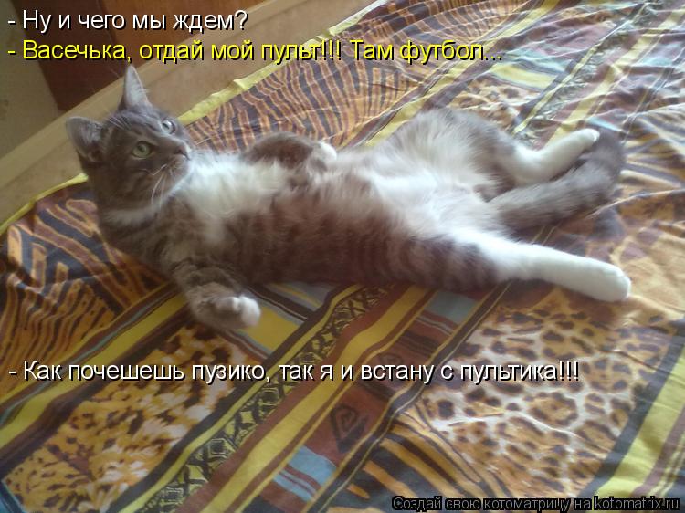 - Ну и чего мы ждем? - Васечька, отдай мой пульт!!! Там футбол... - Как почешешь пузико, так я и вст... Котоматрица: - Ну и чего мы ждем? - Васечька, отдай мой пульт!!! Там футбол... - Как почешешь пузико, так я и встану с пультика!!!