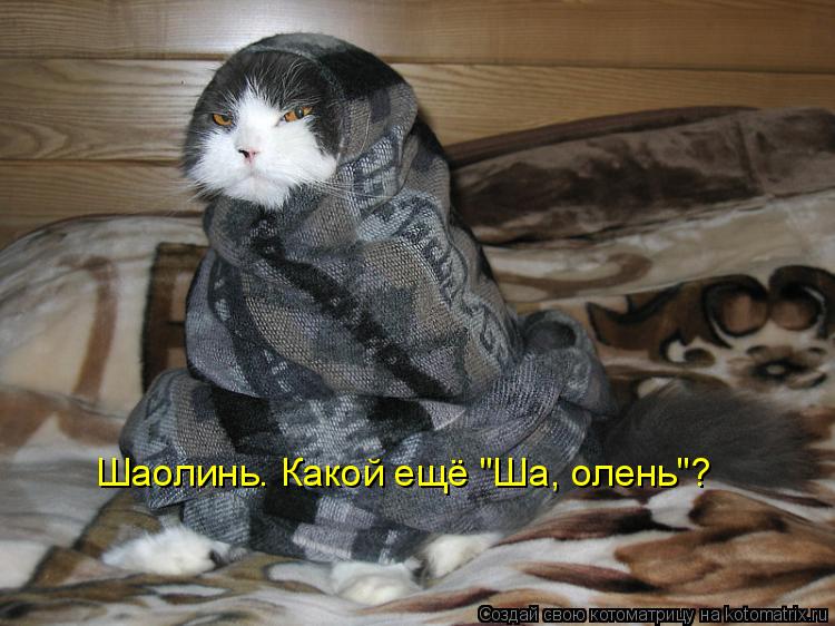 Шаолинь. Какой ещё "Ша, олень"?... Котоматрица: Шаолинь. Какой ещё "Ша, олень"?
