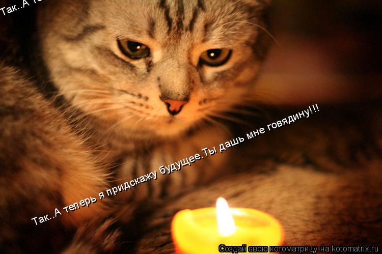 Так..А теперь я придскажу будущее.Ты дашь мне говядину!!! Так..А теперь я придскажу будущее.Ты дашь м... Котоматрица: Так..А теперь я придскажу будущее.Ты дашь мне говядину!!! Так..А теперь я придскажу будущее.Ты дашь мне говядину!!!