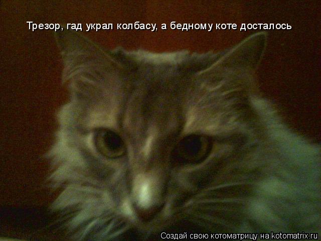Трезор, гад украл колбасу, а бедному коте досталось... Котоматрица: Трезор, гад украл колбасу, а бедному коте досталось