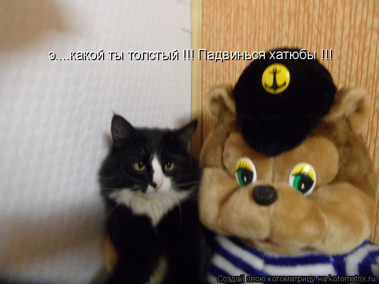 э....какой ты толстый !!! Падвинься хатюбы !!!... Котоматрица: э....какой ты толстый !!! Падвинься хатюбы !!!