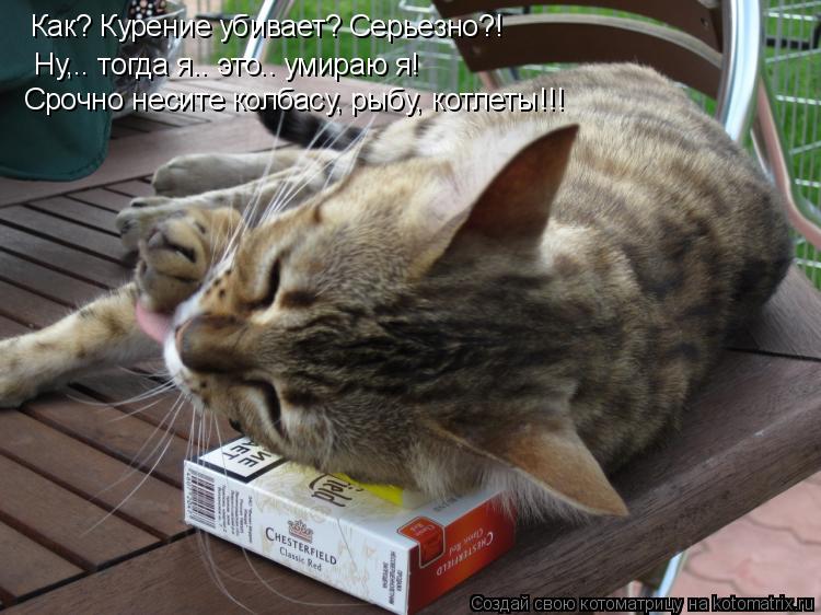 Как? Курение убивает? Серьезно?! Ну,.. тогда я.. это.. умираю я! Срочно несите колбасу, рыбу, котлеты... Котоматрица: Как? Курение убивает? Серьезно?! Ну,.. тогда я.. это.. умираю я! Срочно несите колбасу, рыбу, котлеты!!!