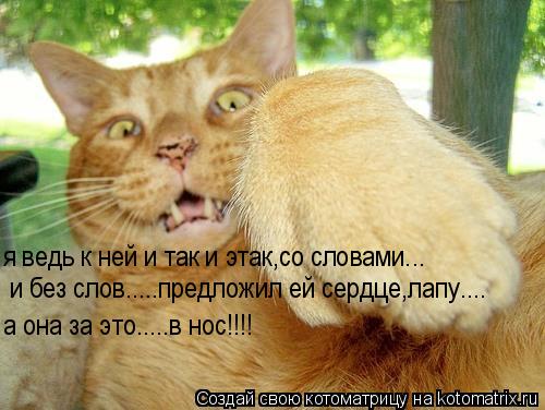 я ведь к ней и так и этак,со словами... и без слов.....предложил ей сердце,лапу.... а она за это........ Котоматрица: я ведь к ней и так и этак,со словами... и без слов.....предложил ей сердце,лапу.... а она за это.....в нос!!!!