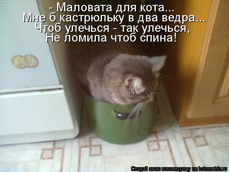 - Маловата для кота... Мне б кастрюльку в два ведра... Чтоб улечься - так улечься, Не ломила чтоб спи... Котоматрица: - Маловата для кота... Мне б кастрюльку в два ведра... Чтоб улечься - так улечься, Не ломила чтоб спина!