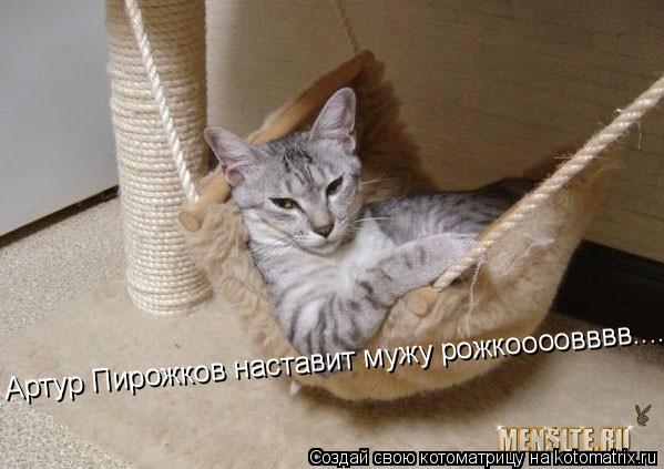 Артур Пирожков наставит мужу рожкоооовввв....... Котоматрица: Артур Пирожков наставит мужу рожкоооовввв....