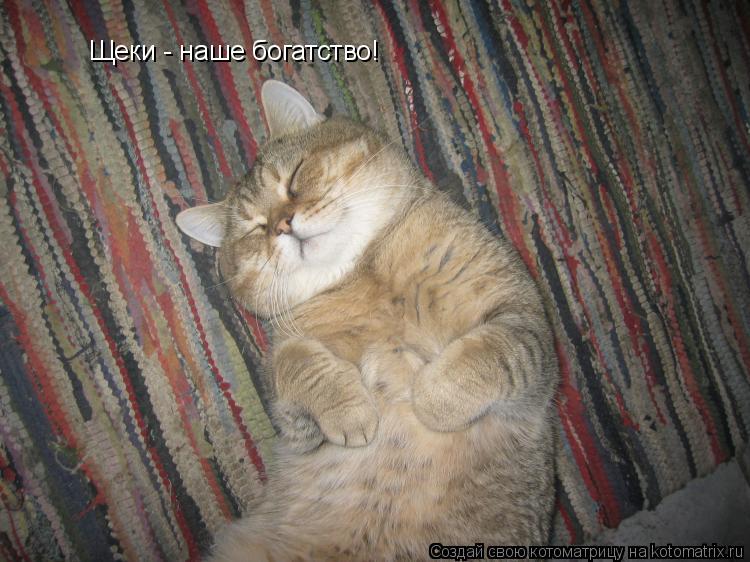 Щеки - наше богатство!... Котоматрица: Щеки - наше богатство!