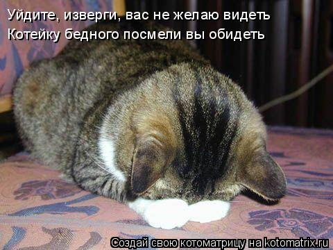 Уйдите, изверги, вас не желаю видеть Котейку бедного посмели вы обидеть... Котоматрица: Уйдите, изверги, вас не желаю видеть Котейку бедного посмели вы обидеть