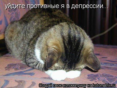 уйдите противные я в депрессии...... Котоматрица: уйдите противные я в депрессии...
