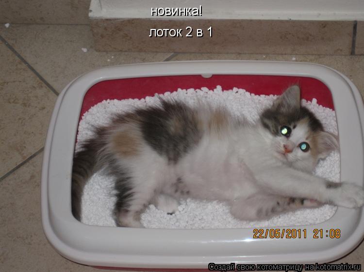 новинка! лоток 2 в 1... Котоматрица: новинка! лоток 2 в 1