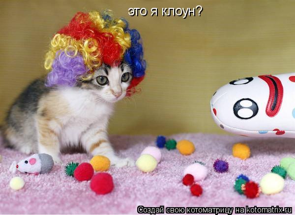 это я клоун?... Котоматрица: это я клоун?