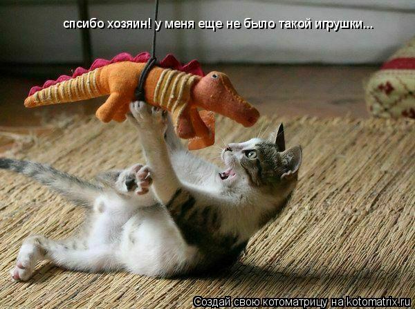 спсибо хозяин! у меня еще не было такой игрушки...... Котоматрица: спсибо хозяин! у меня еще не было такой игрушки...