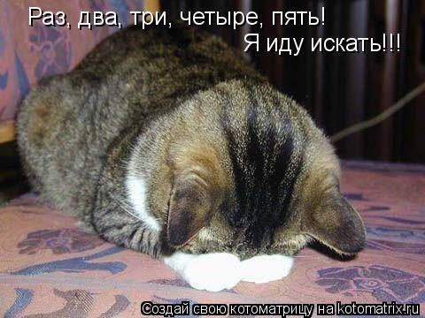 Раз, два, три, четыре, пять! Я иду искать!!!... Котоматрица: Раз, два, три, четыре, пять! Я иду искать!!!