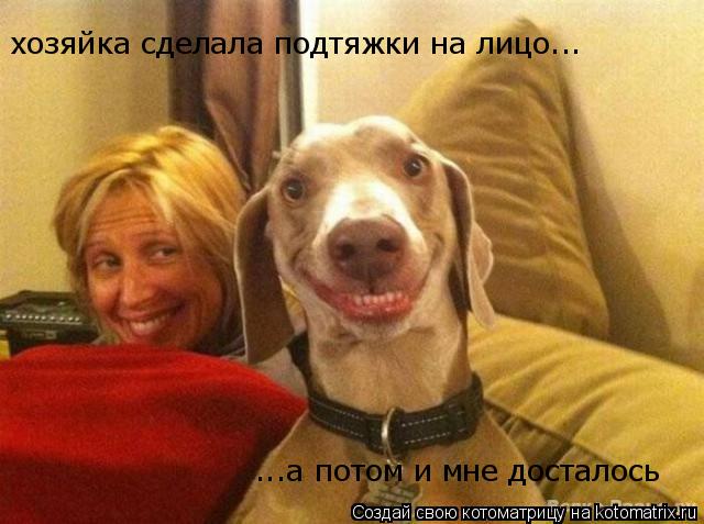 хозяйка сделала подтяжки на лицо... ...а потом и мне досталось... Котоматрица: хозяйка сделала подтяжки на лицо... ...а потом и мне досталось