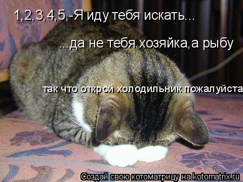 1,2,3,4,5,-Я иду тебя искать... ...да не тебя хозяйка,а рыбу так что открой холодильник пожалуйста!!!... Котоматрица: 1,2,3,4,5,-Я иду тебя искать... ...да не тебя хозяйка,а рыбу так что открой холодильник пожалуйста!!!