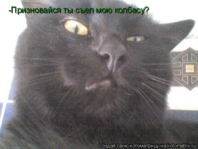 -Призновайся ты съел мою колбасу?... Котоматрица: -Призновайся ты съел мою колбасу?