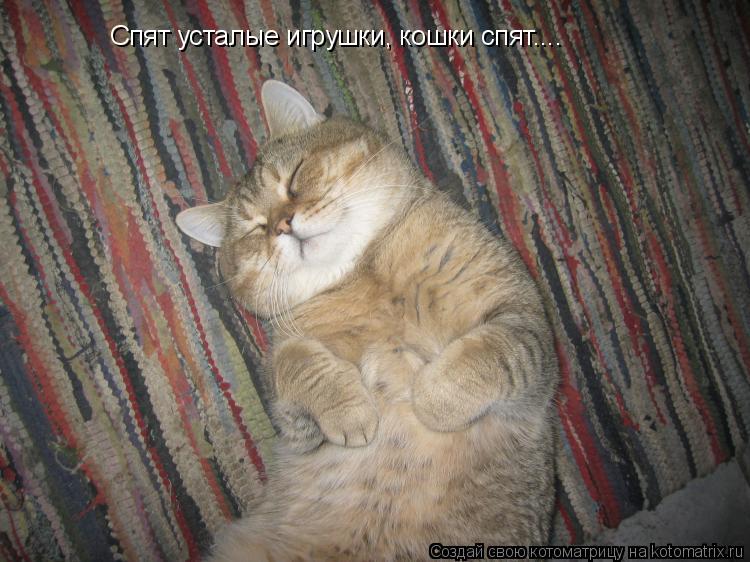Спят усталые игрушки, кошки спят....... Котоматрица: Спят усталые игрушки, кошки спят....