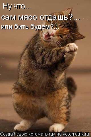 Ну что... сам мясо отдашь?... или бить будем?...... Котоматрица: Ну что... сам мясо отдашь?... или бить будем?...