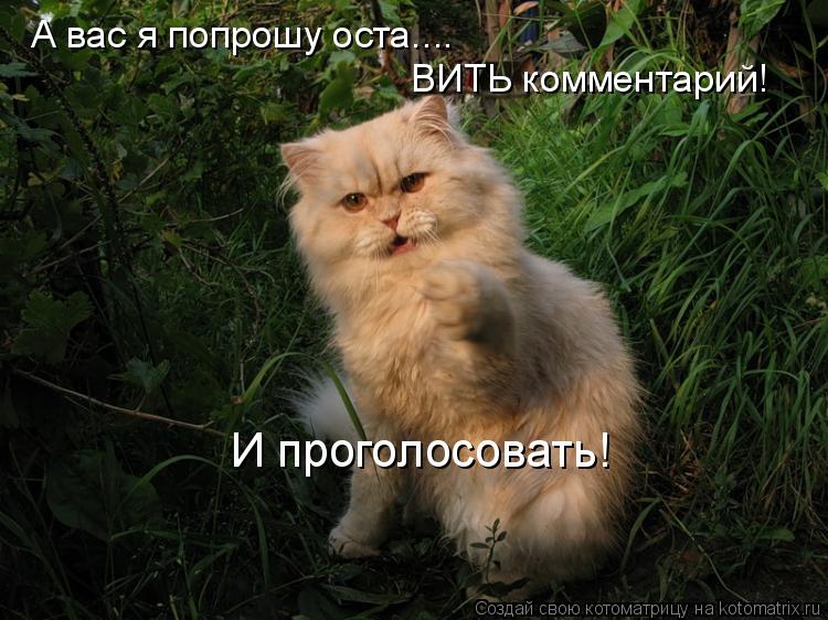 А вас я попрошу оста.... ВИТЬ комментарий! И проголосовать!... Котоматрица: А вас я попрошу оста.... ВИТЬ комментарий! И проголосовать!
