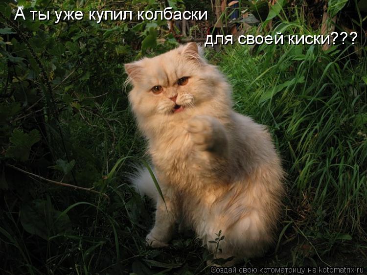 А ты уже купил колбаски для своей киски???... Котоматрица: А ты уже купил колбаски для своей киски???