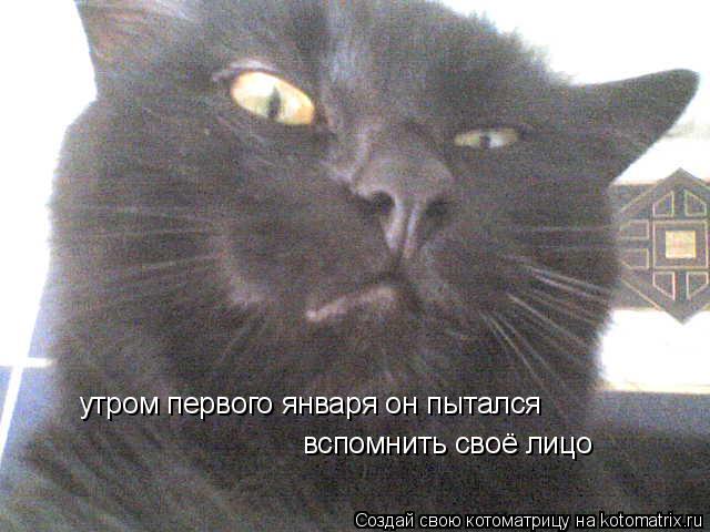 утром первого января он пытался вспомнить своё лицо... Котоматрица: утром первого января он пытался вспомнить своё лицо