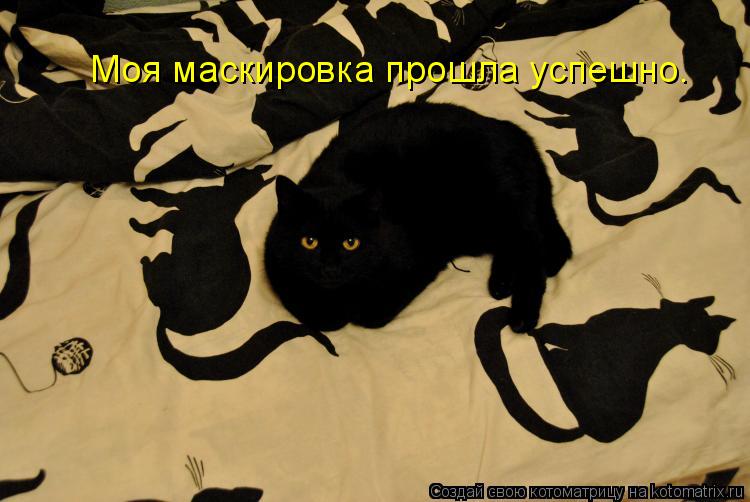 Моя маскировка прошла успешно.... Котоматрица: Моя маскировка прошла успешно.