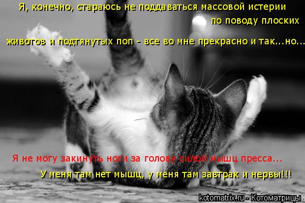 Я не могу закинуть ноги за голову силой мышц пресса... У меня там нет мышц, у меня там завтрак и нерв... Котоматрица: Я не могу закинуть ноги за голову силой мышц пресса... У меня там нет мышц, у меня там завтрак и нервы!!! животов и подтянутых поп - все во мне пр