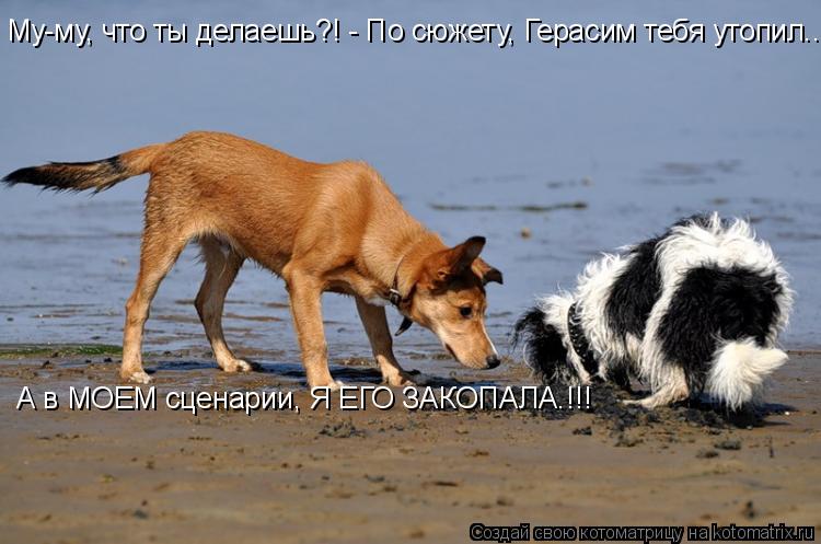 Му-му, что ты делаешь?! - По сюжету, Герасим тебя утопил... А в МОЕМ сценарии, Я ЕГО ЗАКОПАЛА.!!!... Котоматрица: Му-му, что ты делаешь?! - По сюжету, Герасим тебя утопил... А в МОЕМ сценарии, Я ЕГО ЗАКОПАЛА.!!!