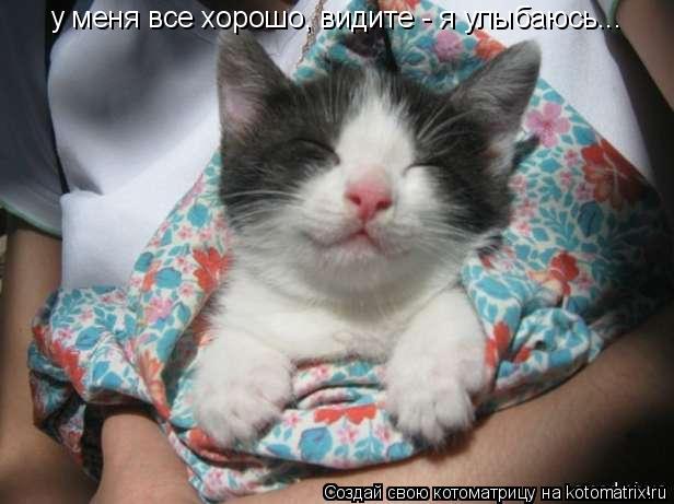 у меня все хорошо, видите - я улыбаюсь...... Котоматрица: у меня все хорошо, видите - я улыбаюсь...