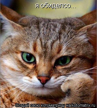 я обиделсо...... Котоматрица: я обиделсо...
