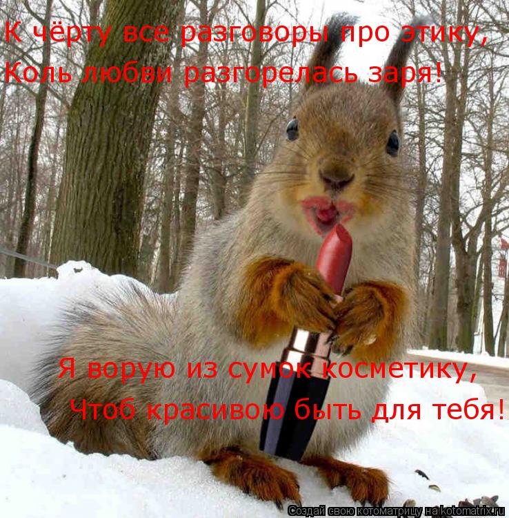 К чёрту все разговоры про этику, Коль любви разгорелась заря! Я ворую из сумок косметику, Чтоб красив... Котоматрица: К чёрту все разговоры про этику, Коль любви разгорелась заря! Я ворую из сумок косметику, Чтоб красивою быть для тебя!