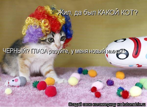 Жил, да был КАКОЙ КОТ? ЧЕРНЫЙ? ГЛАЗА разуйте, у меня новый имидж!... Котоматрица: Жил, да был КАКОЙ КОТ? ЧЕРНЫЙ? ГЛАЗА разуйте, у меня новый имидж!