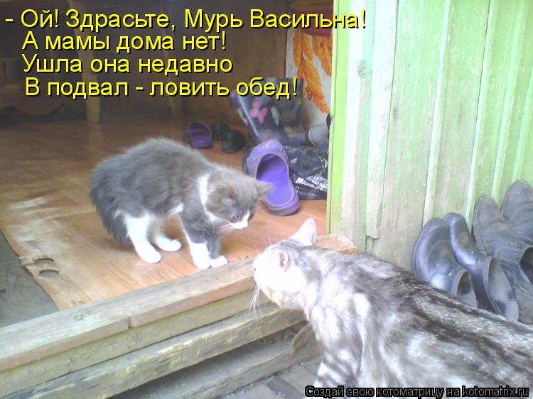 - Ой! Здрасьте, Мурь Васильна! А мамы дома нет! Ушла она недавно В подвал - ловить обед!... Котоматрица: - Ой! Здрасьте, Мурь Васильна! А мамы дома нет! Ушла она недавно В подвал - ловить обед!